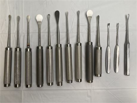 Assorted Raspatory/Elevator Set