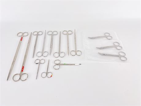 Spectrum Assorted Scissors