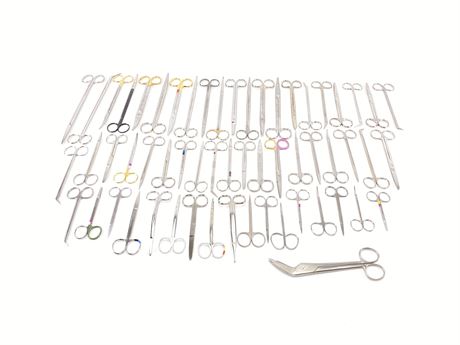Assorted Unmarked Scissors