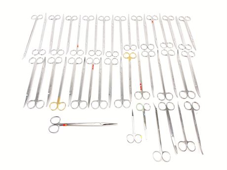 Weck Assorted Scissors