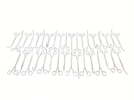 Assorted Kidney & Gall Stone Forceps