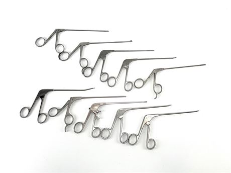 Assorted Punch & Forceps Set