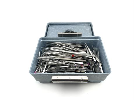 Assorted Straight Thumb Forceps