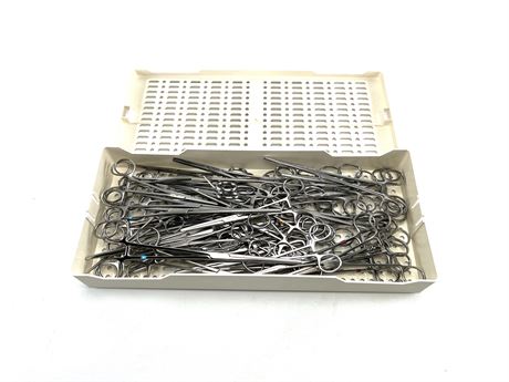 Assorted General Purpose Straight Forceps