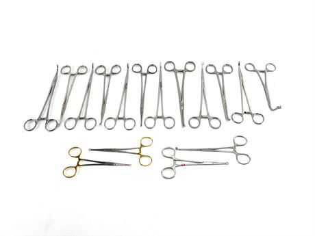 Assorted Ring Clamps