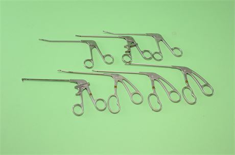 Acufex Punch & Grasper Set