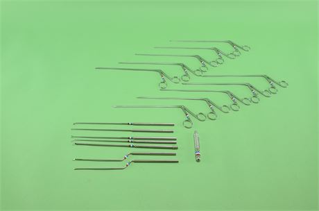 Storz Endoscopic Micro ENT Instrument Set