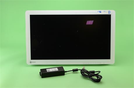 EIZO CuratOR EX2620 26" LCD Monitor w/ Power Supply